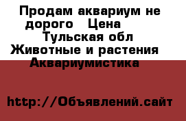 Продам аквариум не дорого › Цена ­ 10 - Тульская обл. Животные и растения » Аквариумистика   